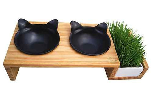 Cat feeding bowls