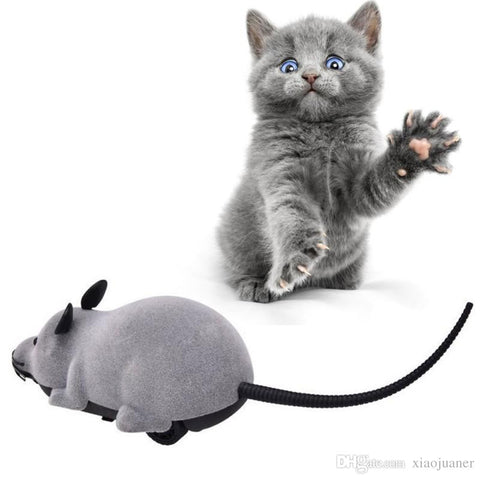 Cat mouse toy