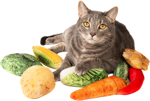 Cat vegetable toys