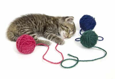 Yarn